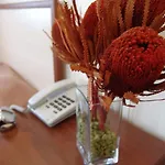 Hotell Nova