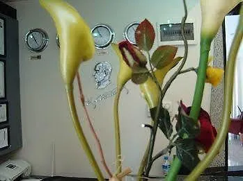 نوفا فندق