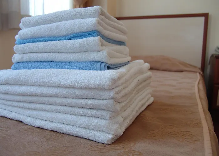 酒店 诺瓦酒店 5*